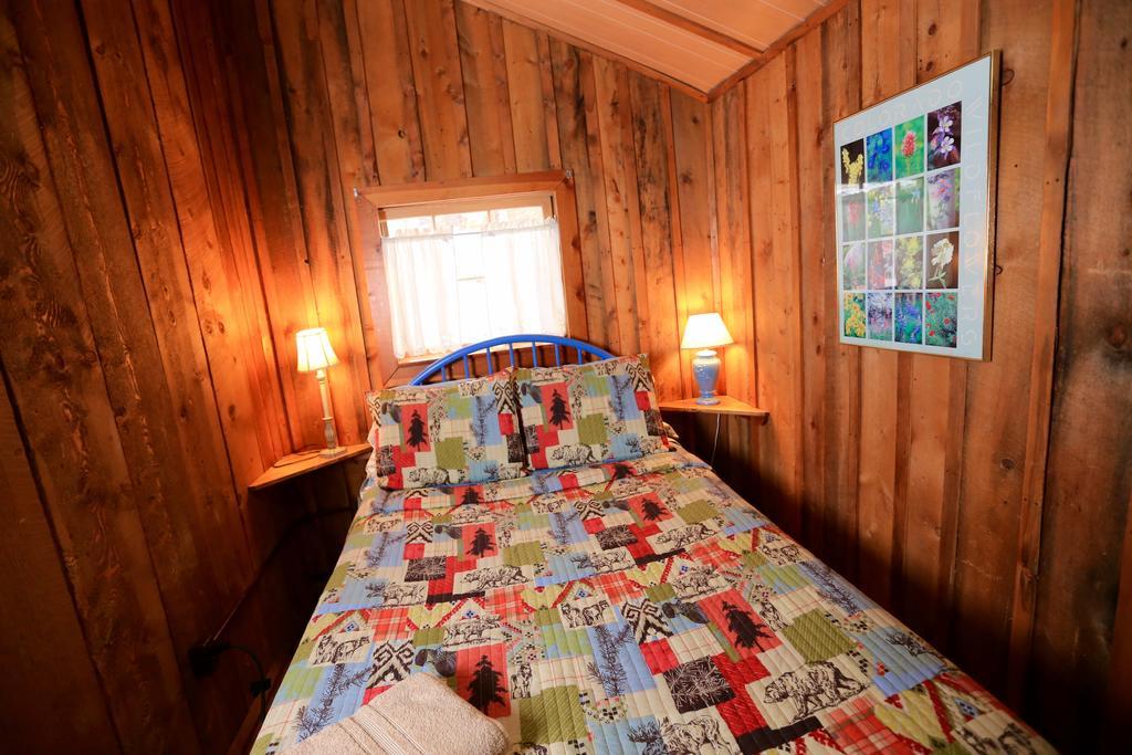 The Cabins At Historic Columbine Clark Bagian luar foto